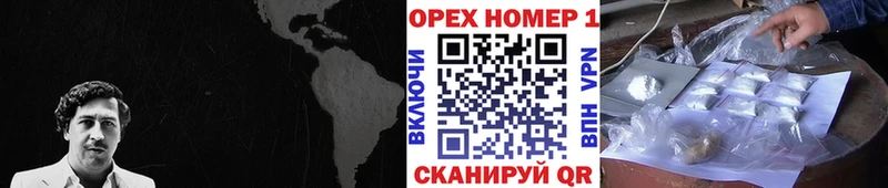 сколько стоит  Сургут  маркетплейс наркотические препараты  Кокаин Fish Scale 