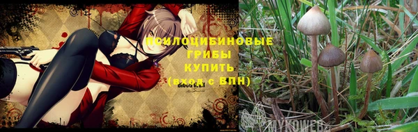 a pvp Алексеевка