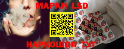 индика Гагарин