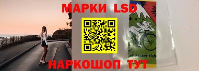 индика Гагарин