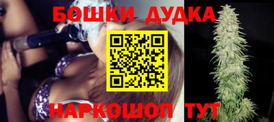 крисы Гатчина