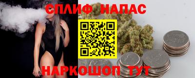 крисы Гатчина