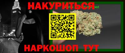 крисы Гатчина