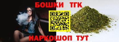индика Гагарин