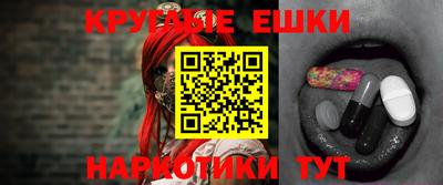 крисы Гатчина