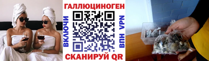 дарнет шоп  Сургут  сайты даркнета официальный сайт  Галлюциногенные грибы ЛСД 