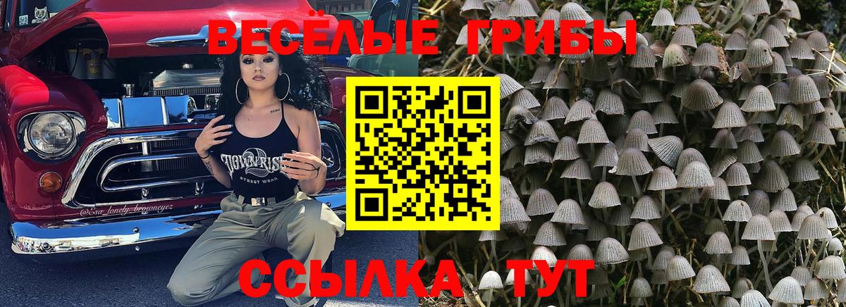 Галлюциногенные грибы Cubensis Сургут