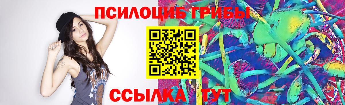 Сургут  Псилоцибиновые грибы Psilocybe  купить  цена  Вход с VPN 